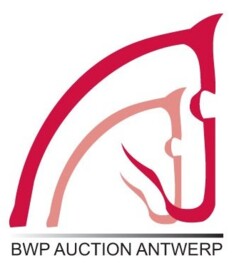 Extra showproeven BWP Auction Antwerp