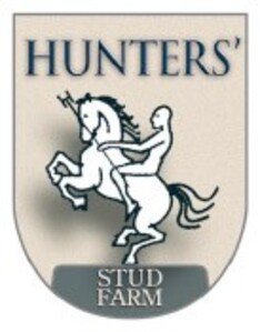 Hunters Studfarm zoekt paarden te koop