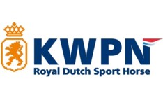 KWPN hengstenkeuring na 3 dagen