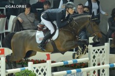 Belgische paarden ook in Wenen voorin