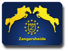 Nieuw van Zangersheide: Z Online Auction