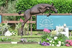 Belgian Foal Auction opnieuw op 3-sterren niveau!