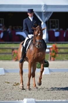 Zes jonge dressuurpaarden naar WK Verden