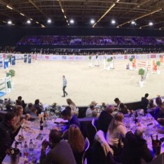 Internationale selecties