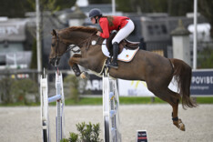 Vandousselaere en Conter verzekeren top 5-klassering in de CSI2* GP van Opglabbeek
