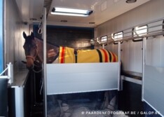 Vluchteling in Belgische paardenvrachtwagen