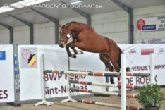 Belgian Youngster Trials: lijsten & timing