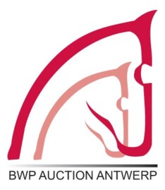 12de BWP Auction Antwerp met GP "Emerald"