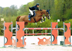 Bengtsson koopt topper bij Picobello Horses