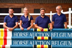 Gemiddeld €20.600 op Horse Auction Belgium!