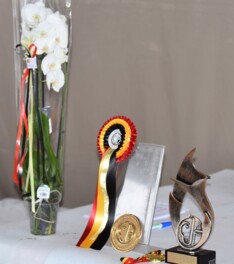 Belgische Kampioenen Mennen 2021