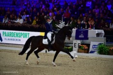 BK jonge dressuurpaarden uitgesteld!