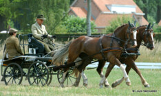 Foto's Merksplas