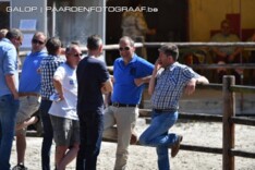 België wint landenproef Marokko met 0 punten