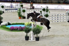 Internationale selecties