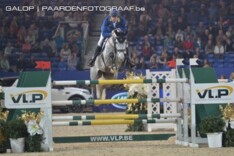 Euro Horse koopt Caruso van Ahlmann