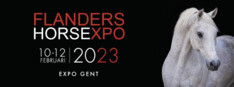 Mennen@Flanders Horse Expo 2023