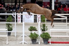 Tiger van ’t Ruytershof, toekomstig talent!