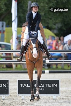 Eerste dag CSI**** Mons