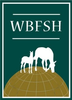 WBFSH: BWP op twee, sBs op vijf