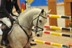 Zirocco Blue maakt reclame in de piste