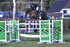 Aquila SFN naar Patrice Delaveau