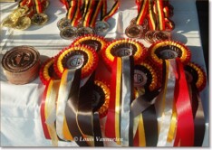Belgische Kampioenen 2016