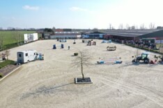 Oefenjumping paarden bij JV-Horses!