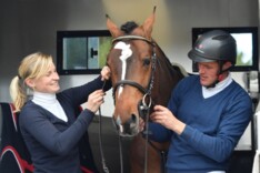 Full Time Groom gezocht