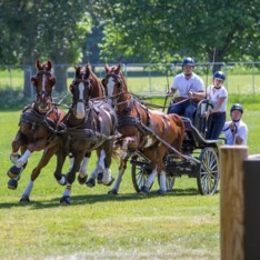 Zilver én Goud in Windsor