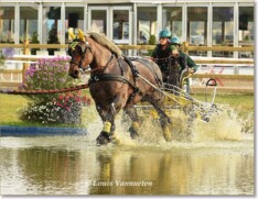 BK Elsegm, foto's marathon