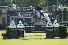 VDL Stud levert 3 Olympische paarden Tokyo