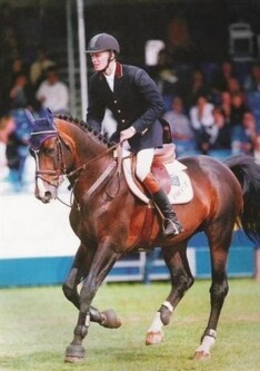 Fokkerijwereld verliest Robin II Z