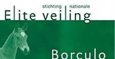 Veiling Borculo opent seizoen Nederlandse veulenveilingen