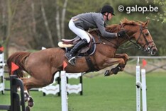 West Vlaanderen boven op dag een Gold League Vilvoorde