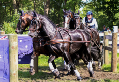 Driving Valkenswaard International: voorproefje op komende kampioenschappen