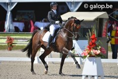 EK, dressuurteam negende na eerste dag