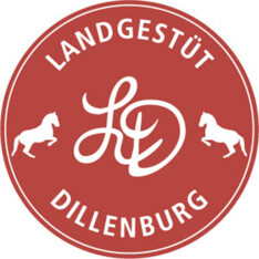 Dillenburg, info en resultaten