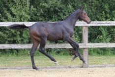 AUCTION TWINKELING OP ZATERDAG 1 OKTOBER...