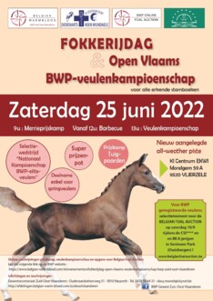 Fokkerijdag & Veulenkampioenschap