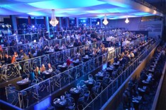 The 19-11-2016 EDITION by Horse Auction Belg