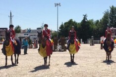 Belgie wint landenprijs pony's in Lamprechts