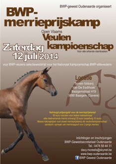BWP Oudenaarde  - Open Vlaams BWP-veulenkamp