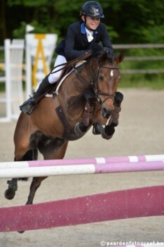 Simon Morssinkhof wint grote tour pony's