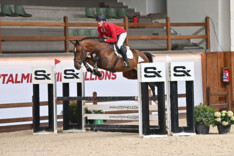 Lannoo Belgian Stallion Competition powered by Eurohorse heeft met Hippomundo en Clipmyhorse twee heel betrouwbare partners