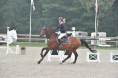 JM17: Van Inderdael op 1 in Hippo Revue Cup