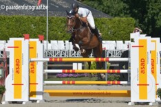 Werner Dierickx wint CSI2* Rankingrubriek