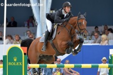 Volle broer van Nino op veiling Fences