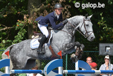 Flanders Horse Event: gedeelde winst in Euphony Six Bars