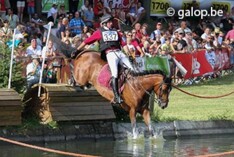 Alle foto"s van eventing Nokere zijn online
